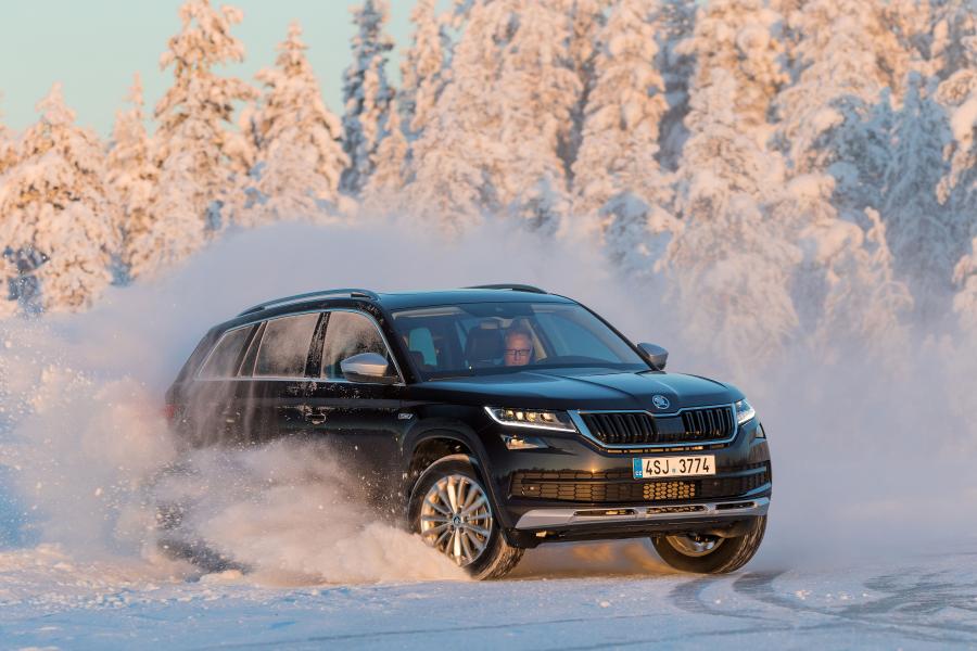  Skoda Kodiaq Scout 2017 года  (WW) (фото 13 из 61)
